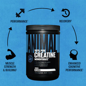 Animal Creatina Micronizada Monohidrato Micronized Creatine 300 Gr