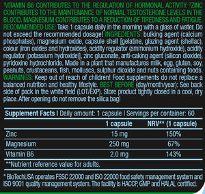 BiotechUSA ZMB Soporte Natural Testosterona 60 Capsulas Precursor Natural Testosterona onelastrep.cl